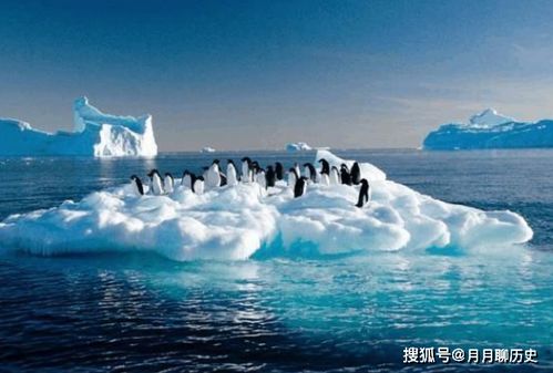 南极冰川融化有什么危害