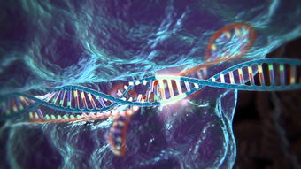 基因编辑技术的最新研究进展是什么