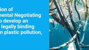 海洋塑料污染的治理措施包括什么