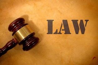 创办企业最常见的企业法律形式有哪几种