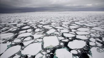 南极冰川融化了会怎么样