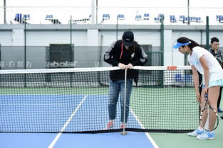 网球裁判是如何进行分工的工作