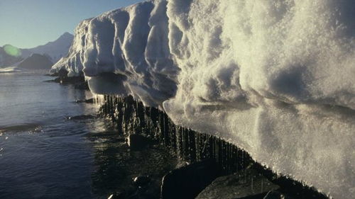南极洲冰川融化的最新研究