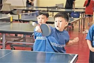 国际乒乓球比赛规则详细