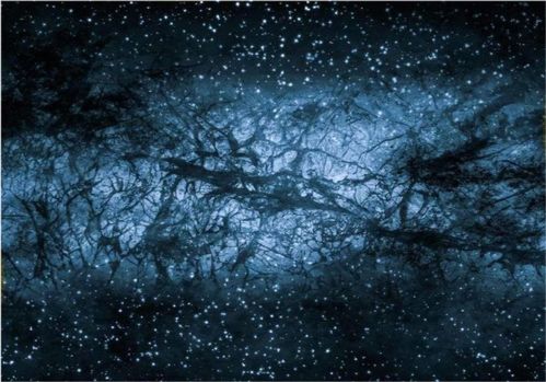 暗物质研究方向，未知宇宙的神秘面纱
