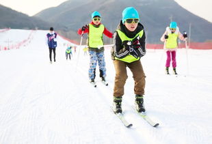 揭秘著名滑雪选手的训练日常：严酷自律，成就冰雪传奇！