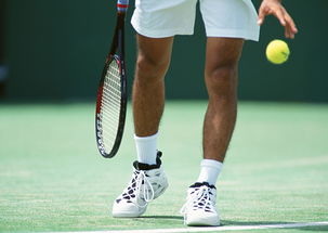 网球裁判的角色与挑战有哪些，一、引言