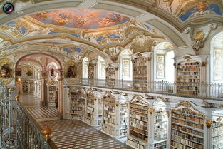 图书馆文化体现在哪，图书馆文化在历史长河中的体现