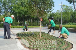 城市园林绿化的最新布局，城市园林绿化最新布局