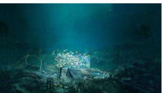 谈一谈海洋塑料污染现状、危害，如何防治海洋塑料污染?