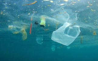 谈一谈海洋塑料污染现状