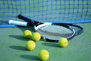 网球装备的选择与保养方法