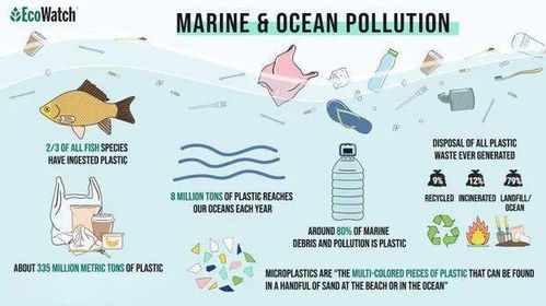海洋塑料污染的危害