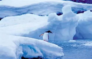 南极冰川融化的主要原因