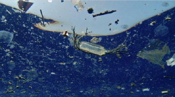 海洋塑料污染的治理困境包括什么