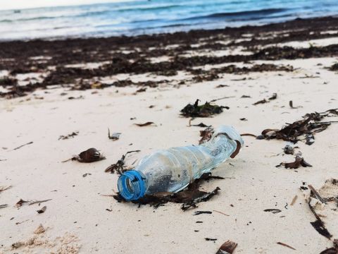 海洋塑料污染对人类的危害