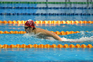 游泳冠军 中国